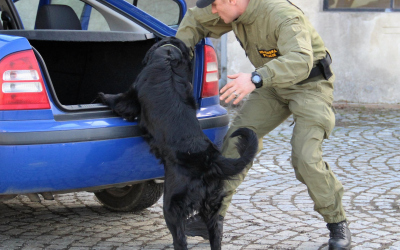 Bezpečnostní prohlídka vozidla za pomoci speciálně vycvičeného psa na vyhledávání výbušnin